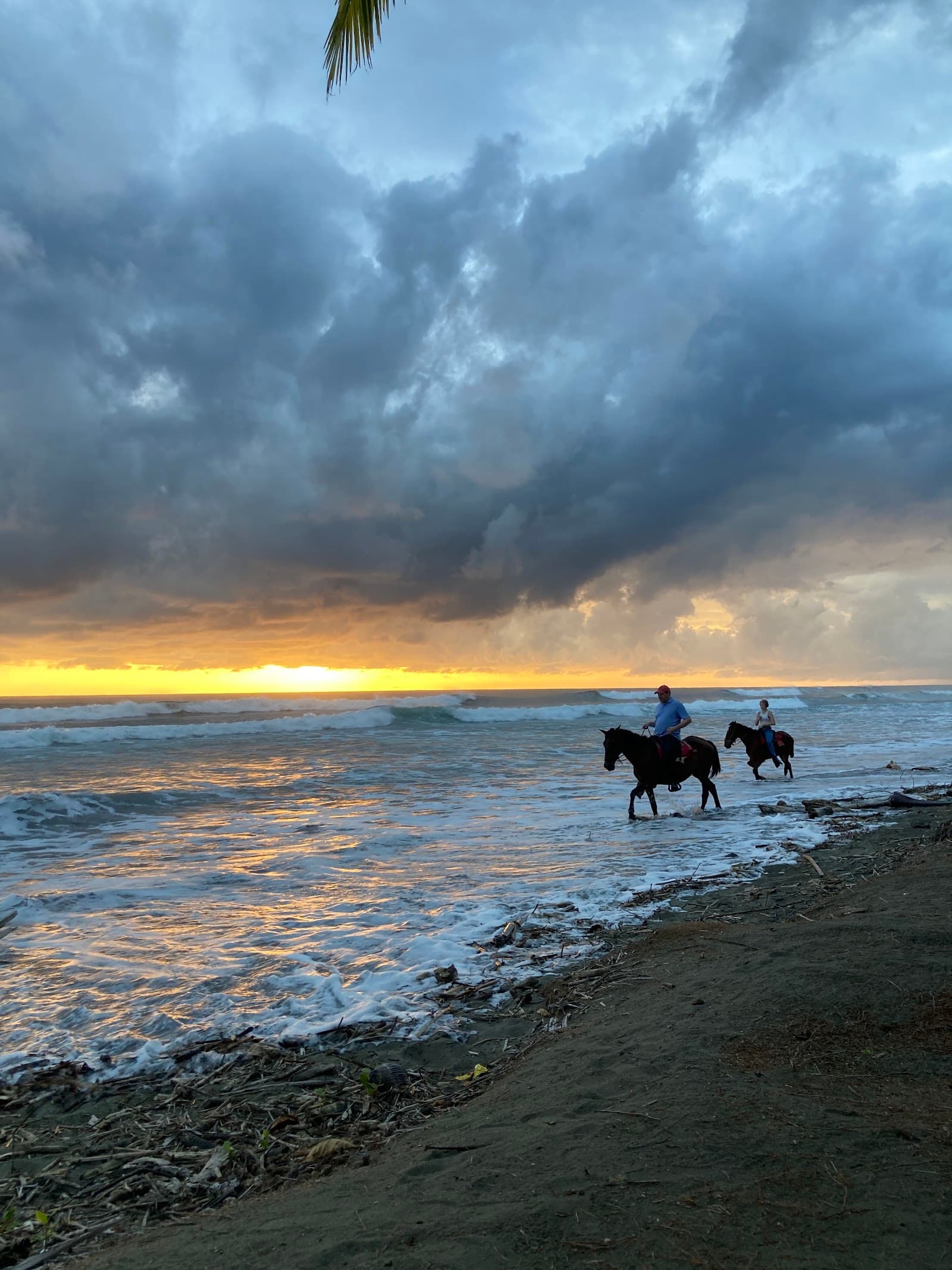 Horseback riding along Playa Matapalo