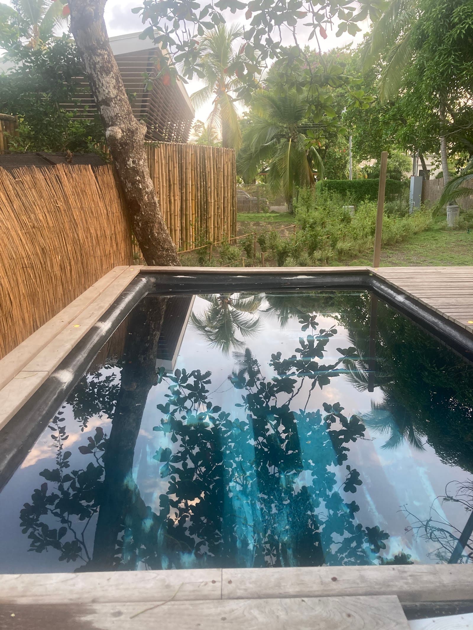 Private plunge pool surrounded by jungle