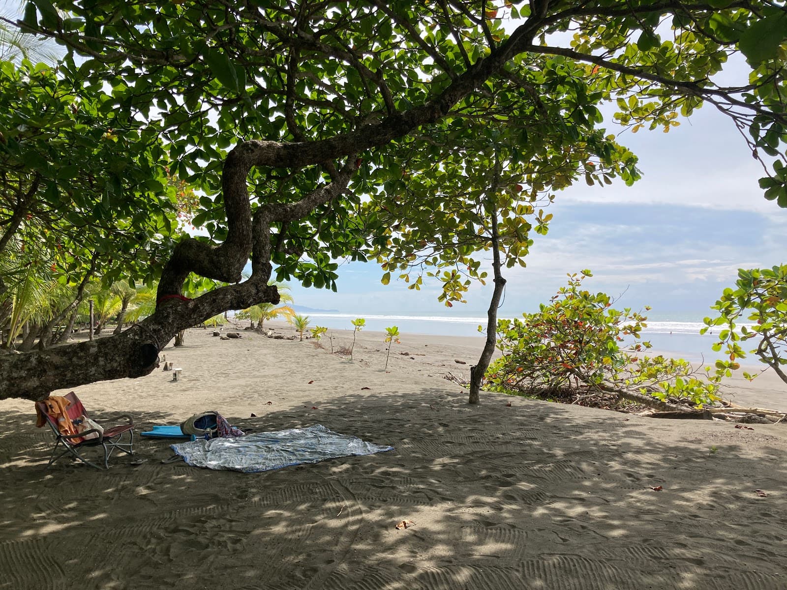 Shaded picnic spot on Playa Matapalo