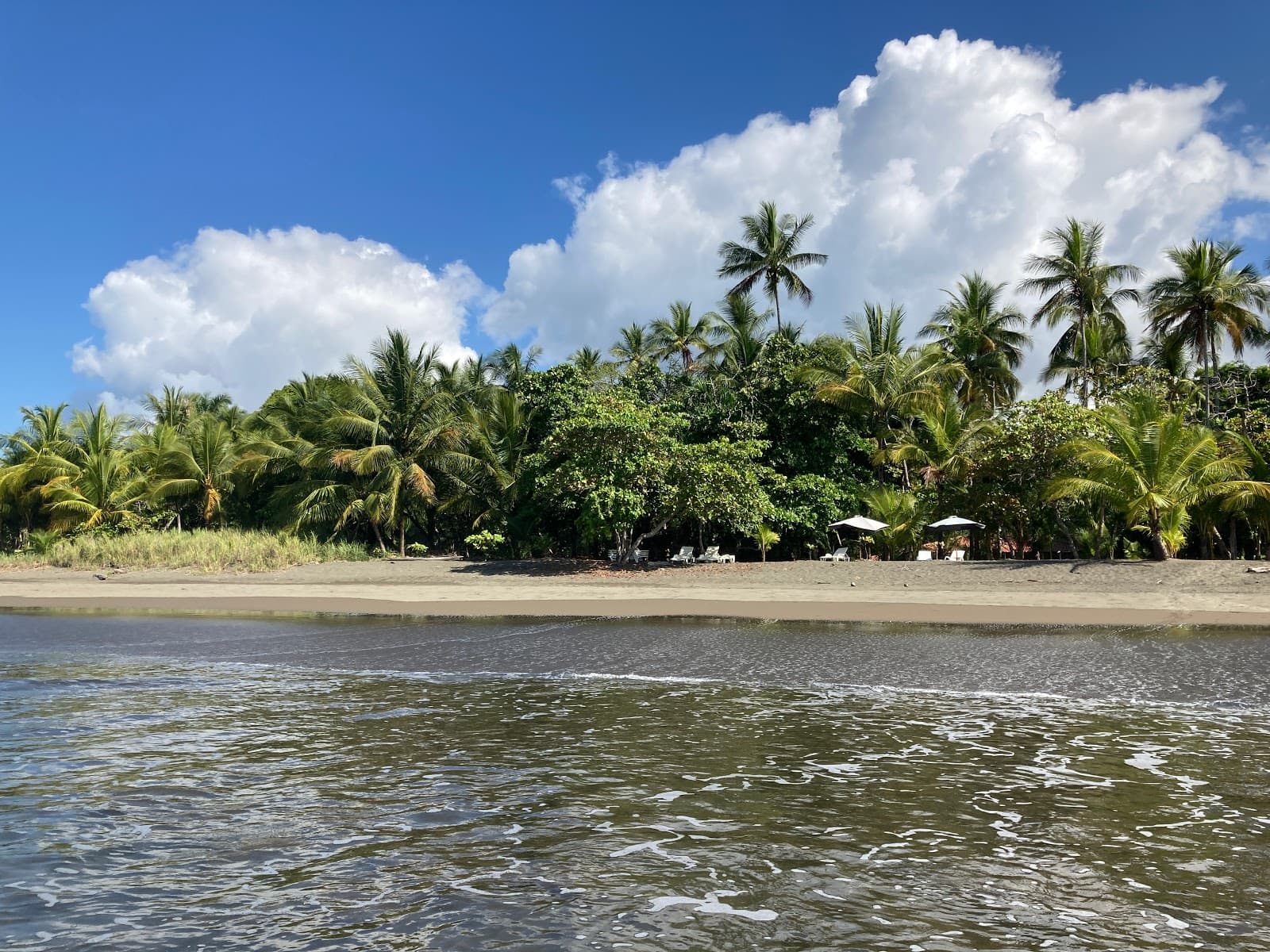 The jungle meeting the sand at Playa Matapalo