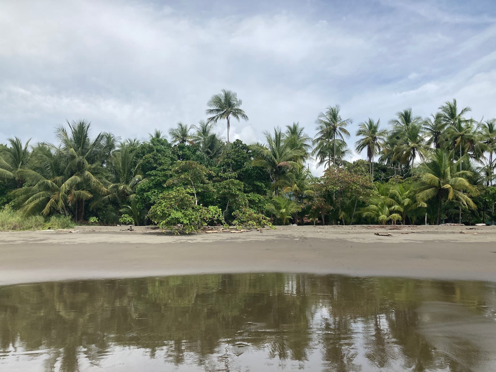 Jungle reflected in the Savegre estuary, near BaliBala