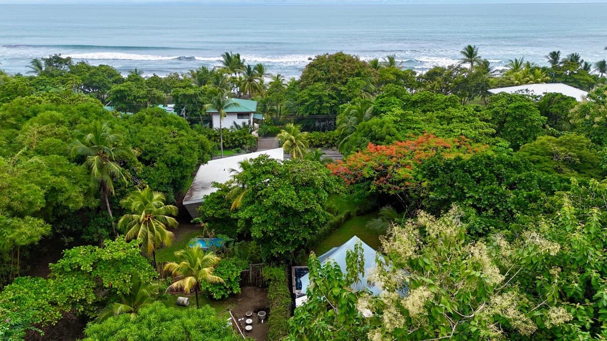 Aerial view of BaliBala Beach Villas: tents and house set among the trees, with the Pacific beyond