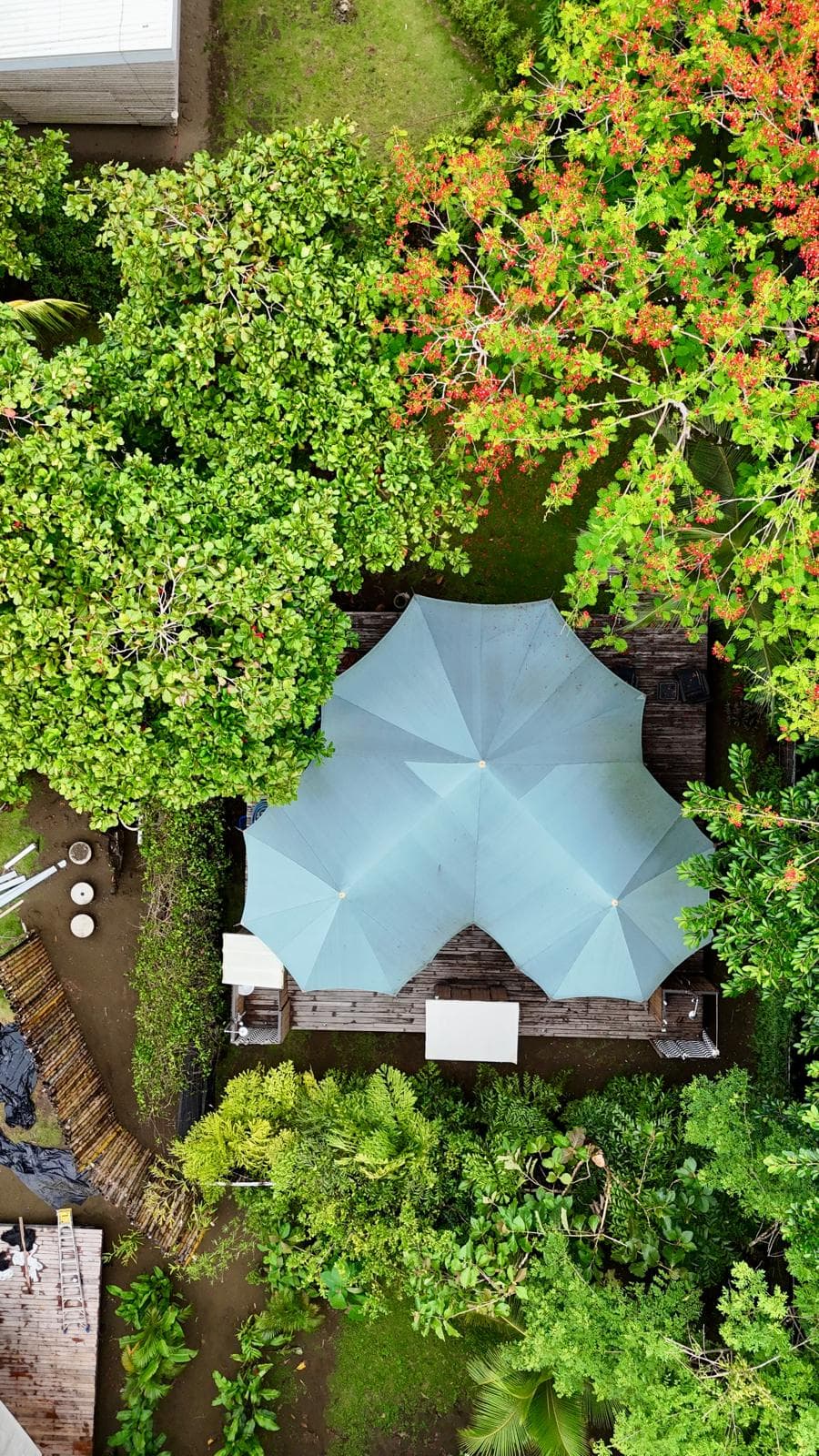 Safari Tent with Pool 1, other