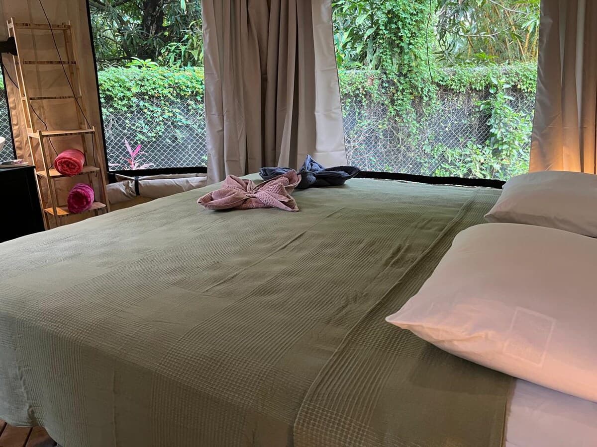 Safari Tent with Pool 2, interior detail